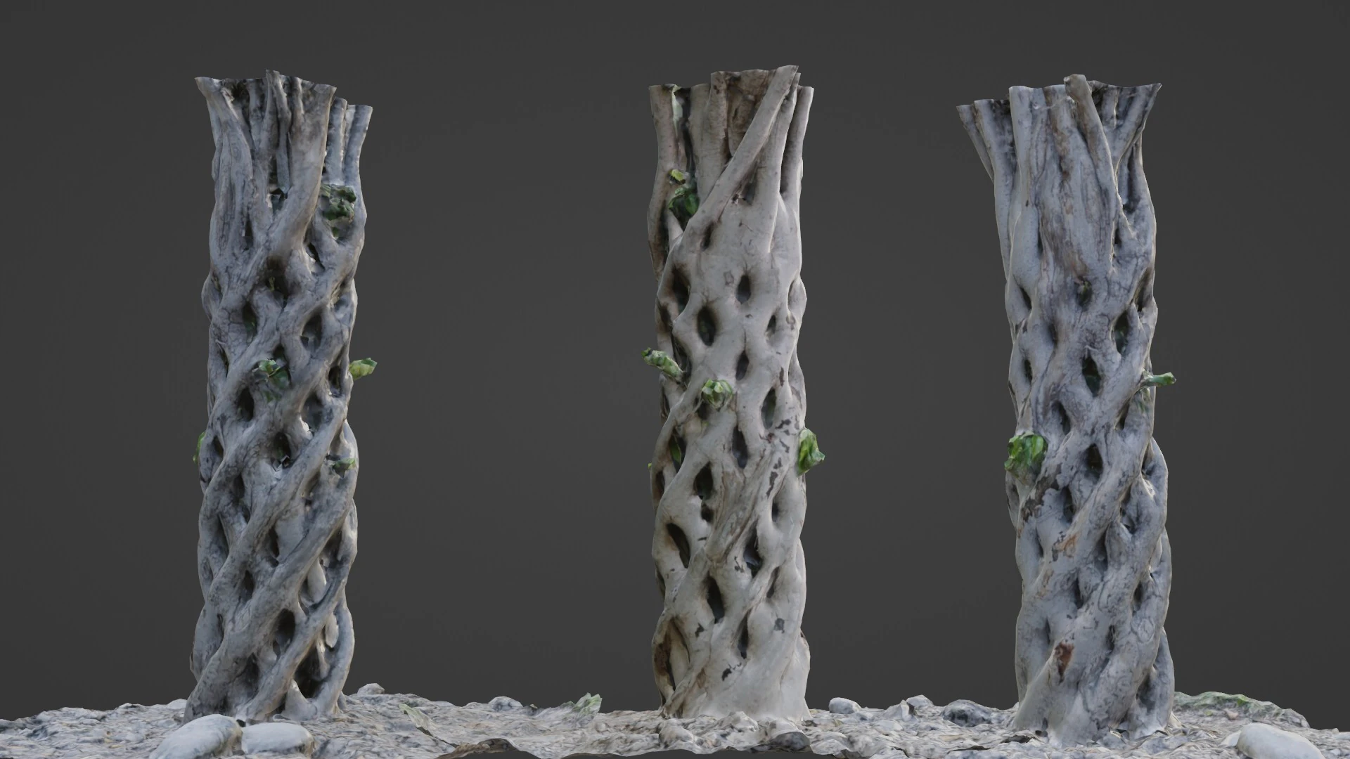 Alabama Family Plant 3D Model .c4d .max .obj .3ds .fbx .stl .blend 