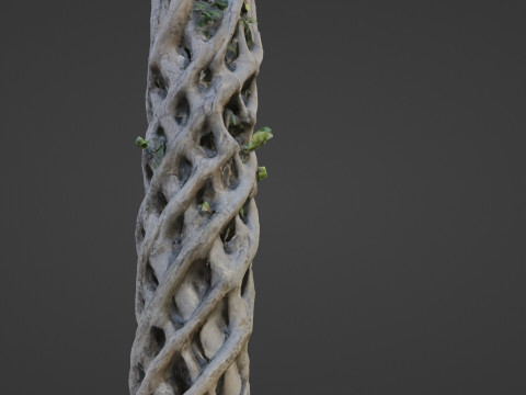 Planta familiar de Alabama Modelo 3D