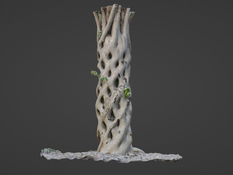 Planta familiar de Alabama Modelo 3D