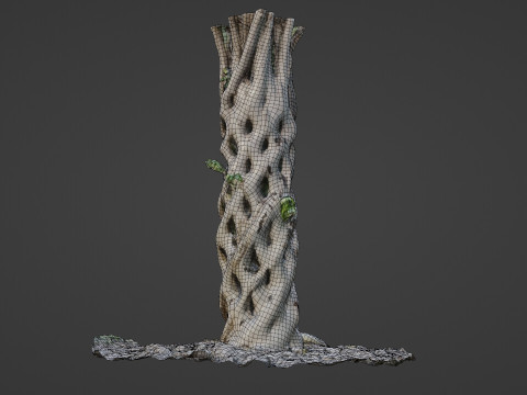 Planta familiar de Alabama Modelo 3D