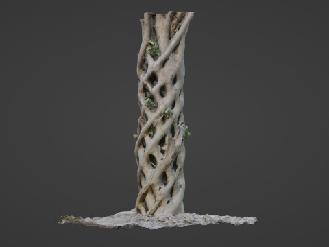 Planta familiar de Alabama Modelo 3D