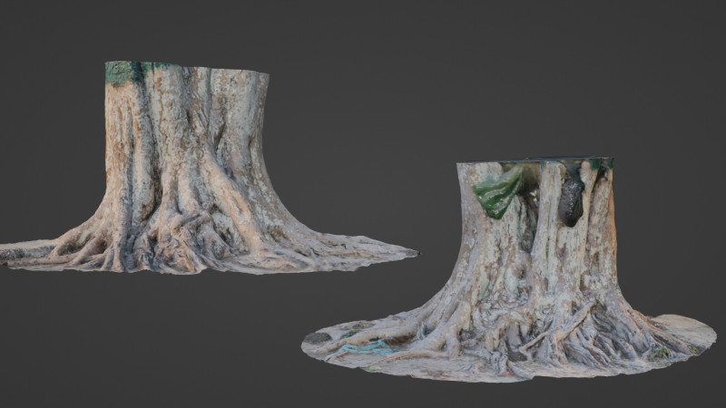 Big Tree Trunk 3D Model .c4d .max .obj .3ds .fbx .stl .blend