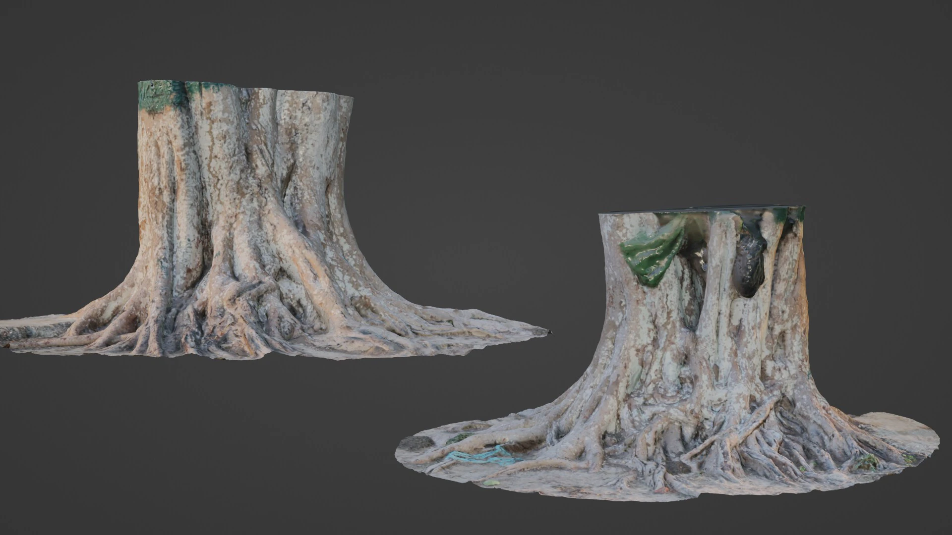 Big Tree Trunk 3D Model .c4d .max .obj .3ds .fbx .stl .blend 