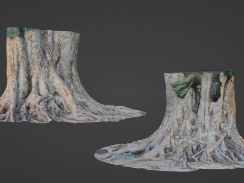 B&uuml;y&uuml;k Ağa&ccedil; G&ouml;vdesi 3D Model