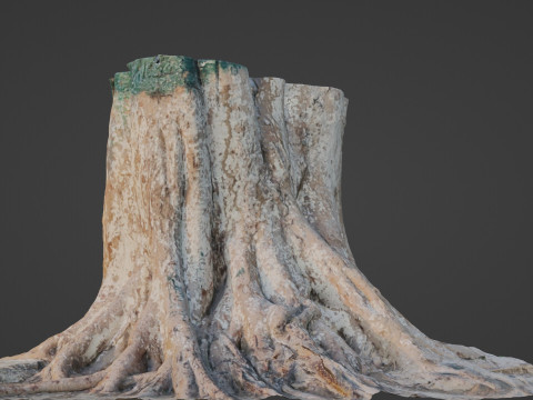 Big Tree Trunk 3D Model