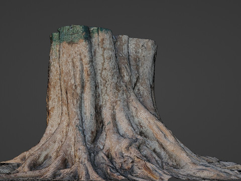 Big Tree Trunk 3D Model