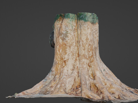 Big Tree Trunk 3D Model