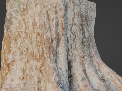 Big Tree Trunk 3D Model