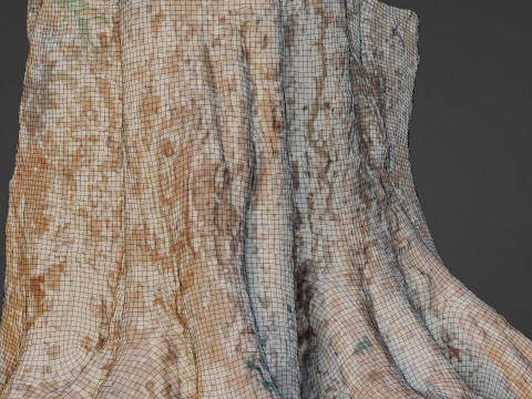 Big Tree Trunk 3D Model