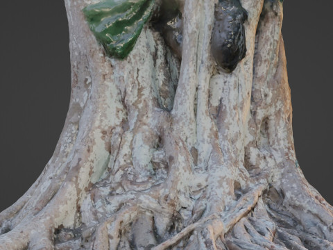 Big Tree Trunk 3D Model