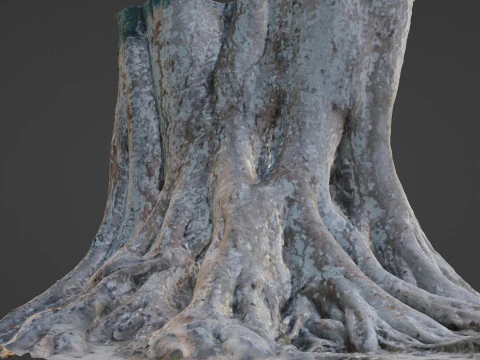 Big Tree Trunk 3D Model
