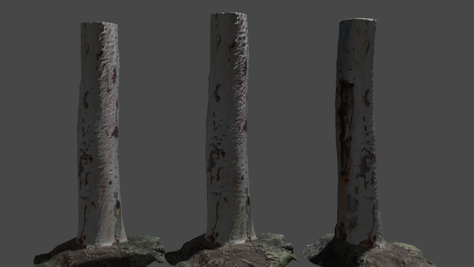 Birch tree 3D Model .c4d .max .obj .3ds .fbx .stl .blend