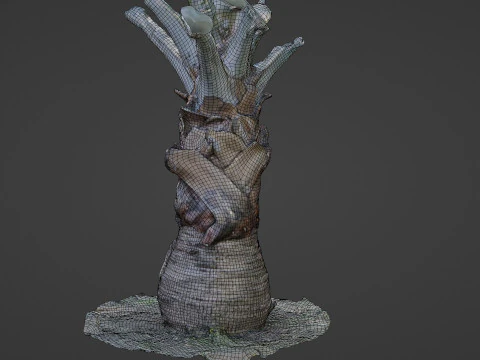 Bismark Palm 3D Model