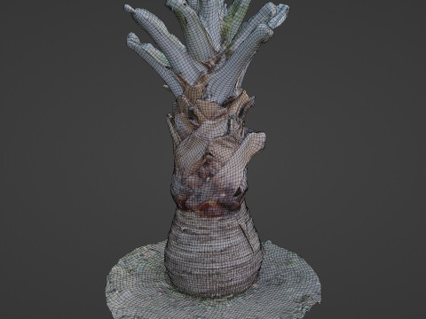 Bismark Palm 3D Model
