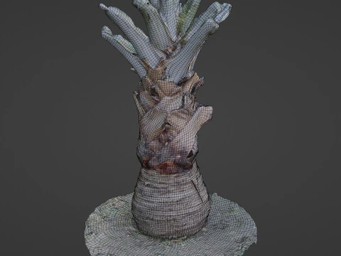 Bismark Palm 3D Model