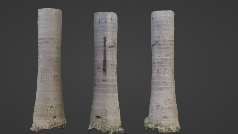 Cocunut treee Modèle 3D .c4d .max .obj .3ds .fbx .stl .blend