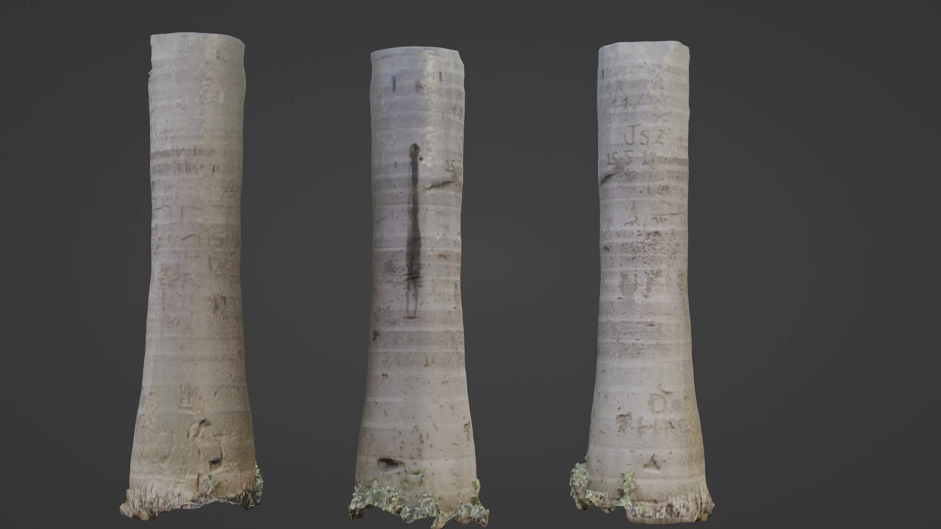 Albero di cocco Modello 3D .c4d .max .obj .3ds .fbx .stl .blend 