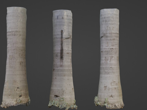 Cocunut treee 3D मॉडल