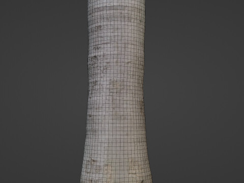 Cocunut treee Modèle 3D