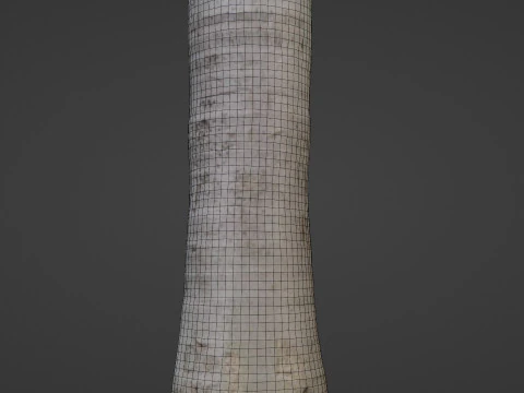 Albero di cocco Modello 3D