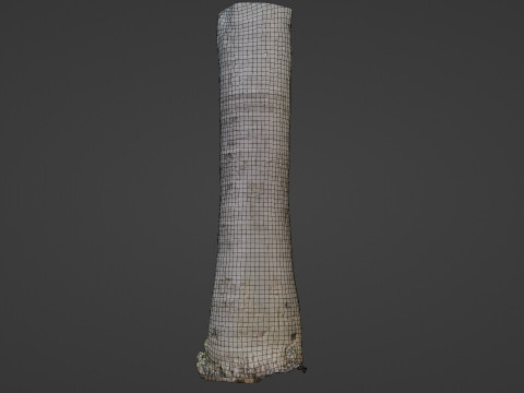 Cocunut treee Modèle 3D