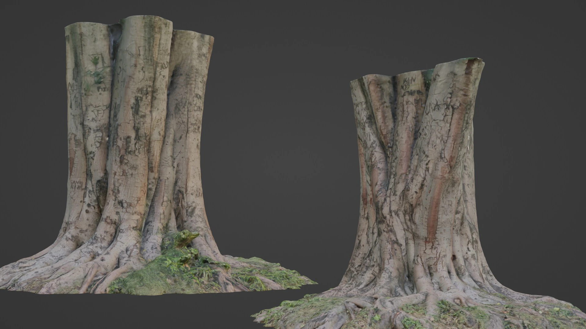 Tree 3D Model .c4d .max .obj .3ds .fbx .stl .blend 