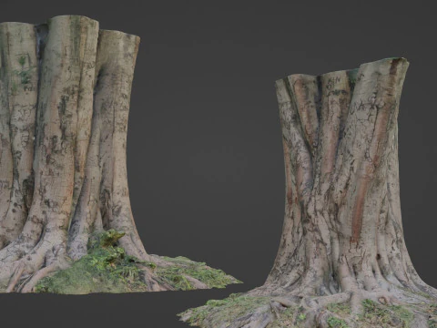 पेड़ 3D मॉडल