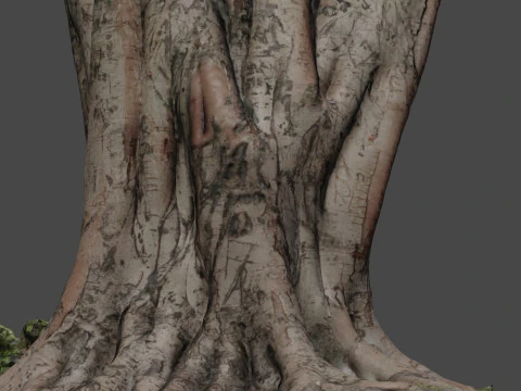 Tree 3D Model