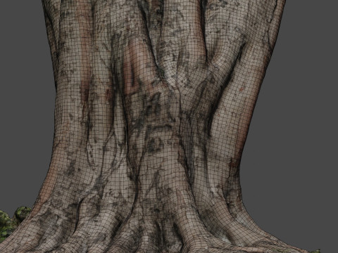 Tree 3D Model