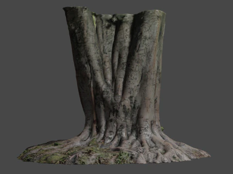 Tree 3D Model