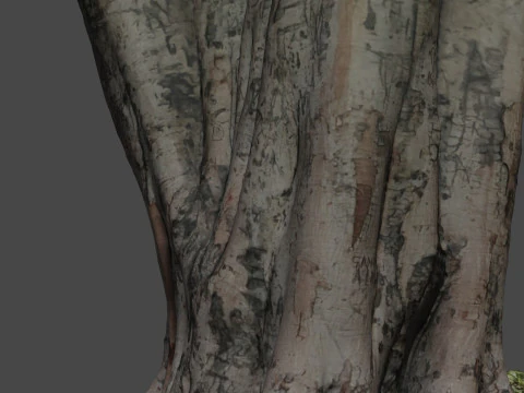 Tree 3D Model