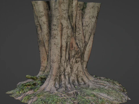 Tree 3D Model