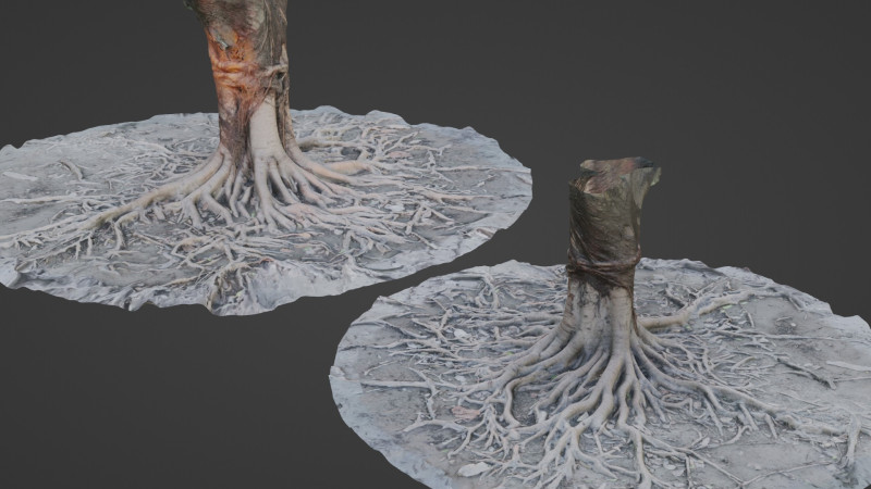 Gaint Roots Tree Model 3D .c4d .max .obj .3ds .fbx .stl .blend