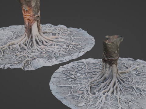 Gaint Roots Tree 3D Model
