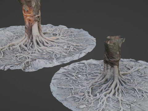 &Aacute;rbol de ra&iacute;ces gigantes Modelo 3D