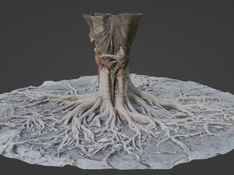 Gaint Roots Tree Model 3D