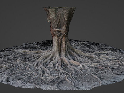 Gaint Roots Tree Model 3D