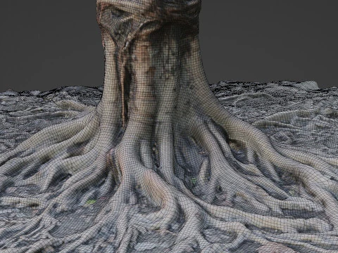 Gaint Roots Tree 3D Model