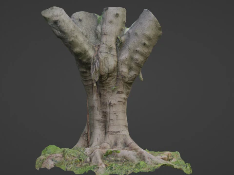 Jungel tree 3D Model