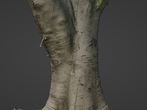 Jungel tree 3D Модель