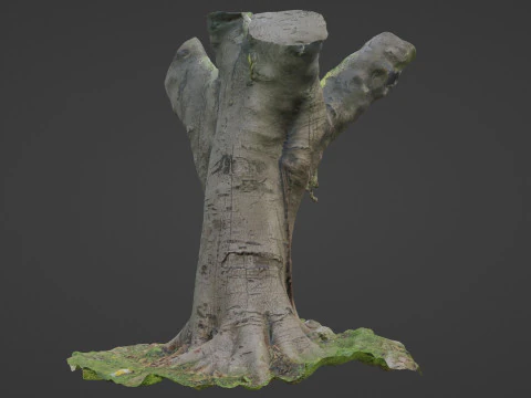 Jungel tree 3D Model
