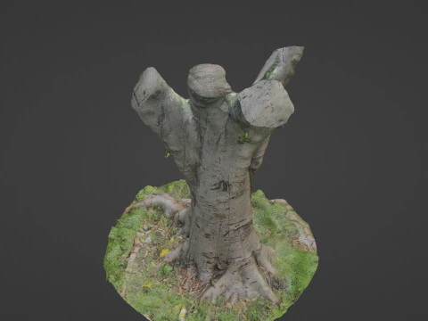 Jungel tree 3D Model