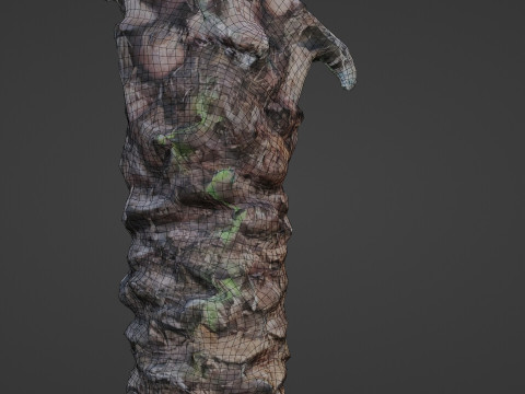 Palm Tree Modello 3D