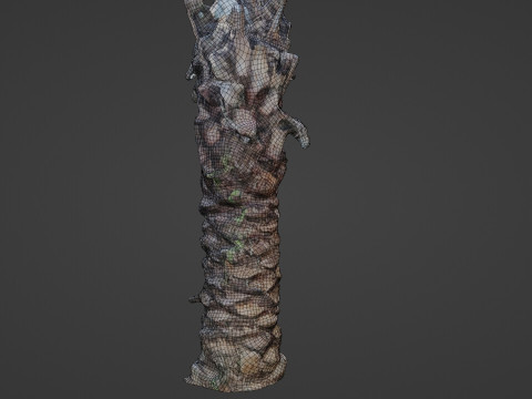 Palm Tree Modello 3D
