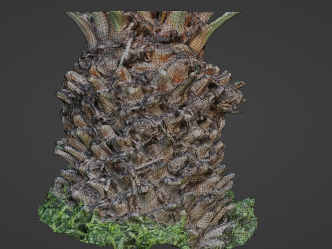 Palm tree 3D मॉडल