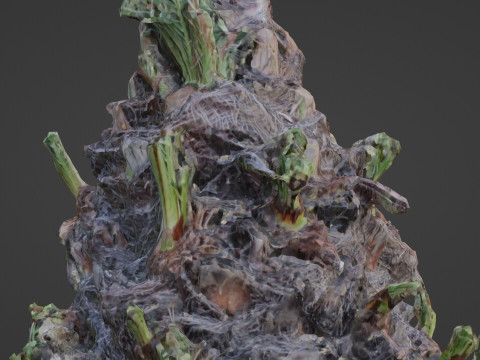 Plam base 3D Model