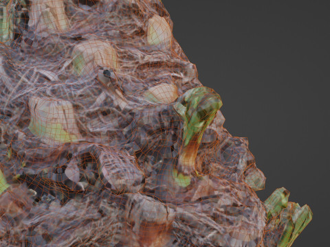 Plam base 3D Model