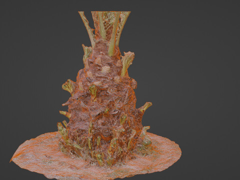 Plam base 3D Model