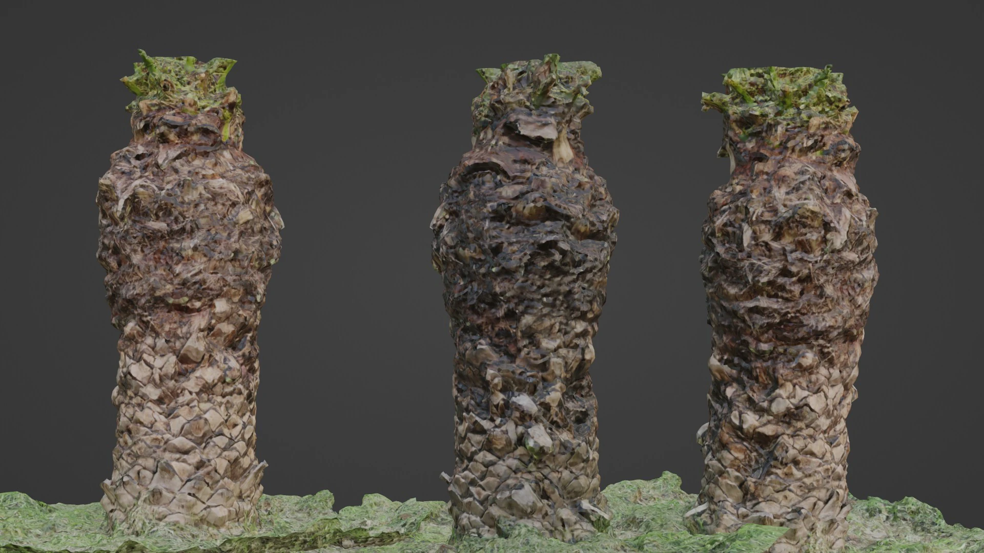 Tree palm 3D Model .c4d .max .obj .3ds .fbx .stl .blend