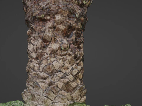 Tree palm 3D Model